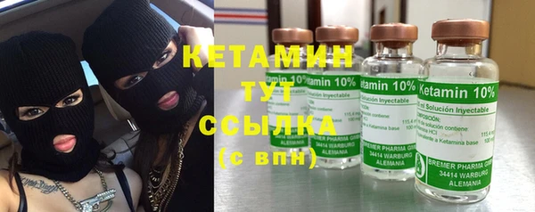 стаф Алзамай