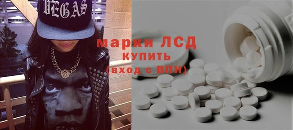 стаф Алзамай