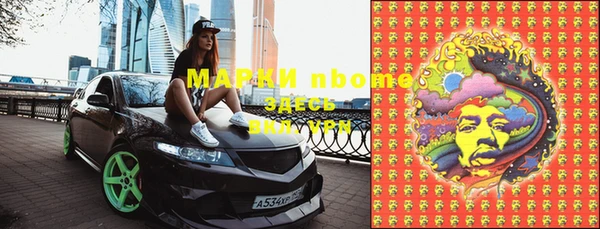 стаф Алзамай