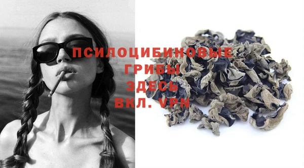 стаф Алзамай