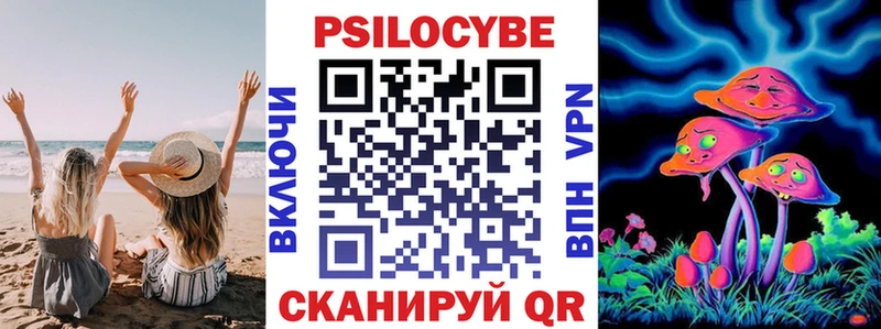 где купить наркоту  Кимры  Псилоцибиновые грибы мицелий 
