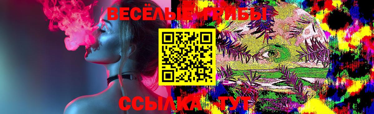 Галлюциногенные грибы MAGIC MUSHROOMS  Вход с VPN  Кимры  Галлюциногенные грибы GOLDEN TEACHER 